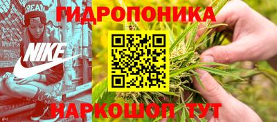 дживик Гусев