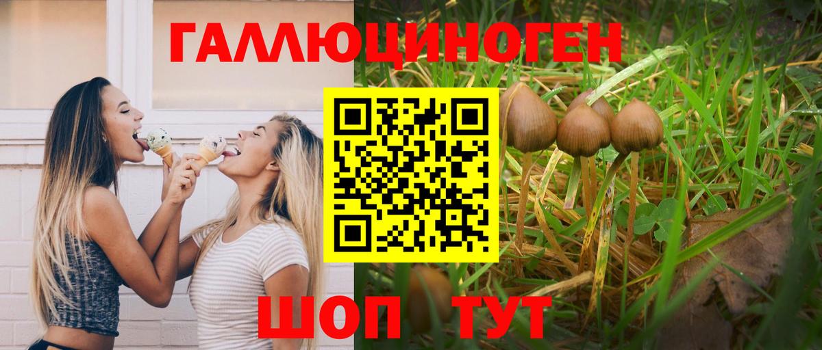 Псилоцибиновые грибы MAGIC MUSHROOMS  Галлюциногенные грибы Cubensis  Вход с VPN  Моздок 