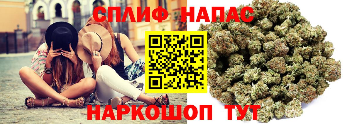 Бошки марихуана Amnesia Моздок